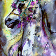 Horse Portrait Arabian With Head Dress Poster