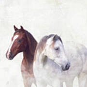 Horse Portrait Poster