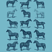 Horses In Blue Poster