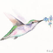 Hummingbird #2 Poster