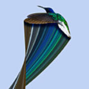Hummingbird Pixel Stretch 2 Poster