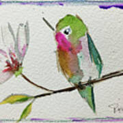 Hummingbird With Magnolia Blossom Poster