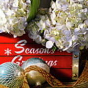 Hydrangea Seasonal Box Poster