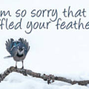 I'm Sorry Blue Jay Card Poster