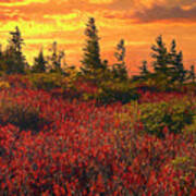 Impressionistic Dolly Sods Poster