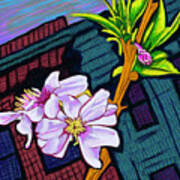 Intown Macon Cherry Blossom Poster