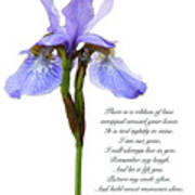 Iris Ribbon Of Love Healing Grief Art Poster