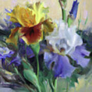 Irises And Columbine Poster