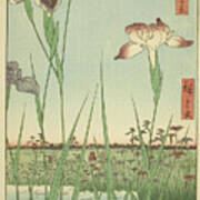 Irises At Horikiri -horikiri No Hanashobu-, From The Series 'one Hundred Famous Views Of Edo -mei... Poster