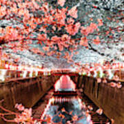 Japan Rising Sun Collection - Meguro River Cherry Blossom I V Poster