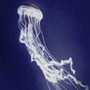 Jelly 2 Smudged Poster