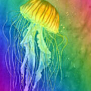 Jellyfish On Rainbow Poster