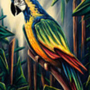 Jungle Parrot Painting, Colorful Macaw Poster