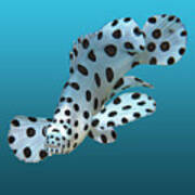 Juvenile Fish - Small Grouper On Gradient Blue Background - Poster