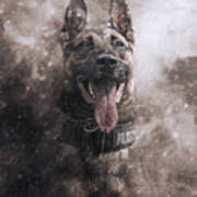 K9 Mase - Oak Park Poster