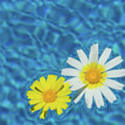 Keep Your Sunny Days By The Pool Poster