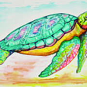 Key West Turtle 2 2021 Poster