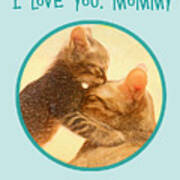 Kitty Love Poster