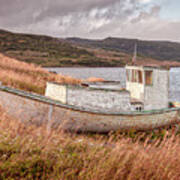 Labrador Boat Poster