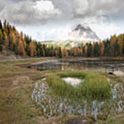 Lago Di Antorno Lake And Tre Cime Di Lavadero Mountain Reflection In Autumn. Forest Landscape South Tyrol Italy Poster