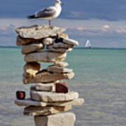 King Of The Cairn - Seagull Atop Cairn With Sailboat At Lake Michigan Shoreline At Milwaukee Poster