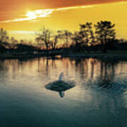Lake Muhlenberg Little Fountain Sunset Poster