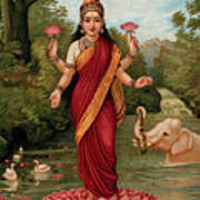 Lakshmi On Her Lotus In The Water With Elephant Poster