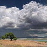Large Monsoon Clouds Over Lake Henshaw Poster