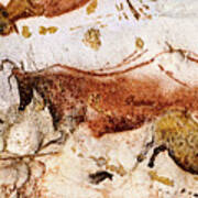 Lascaux Cow And Horses Poster