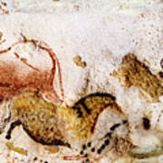 Lascaux Cow Horse And Deer Poster
