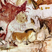 Lascaux Two Horses And Cows Poster