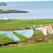 Laundry In The Yard, Isle Of Skye, Uk Poster