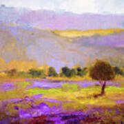 Lavender Fields And Hills Poster