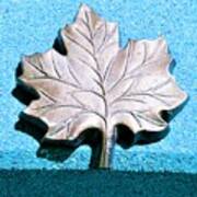 Leaf Sculpture Poster