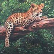 Leopard Poster