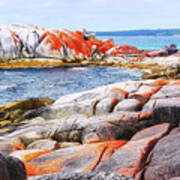 Lichen Covered Rocks Poster