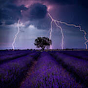 Lightning Lavender Poster