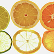 Limes Lemons Oranges Poster