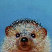Little Hedgehog Poster