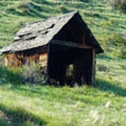 Little Wooden Shed Poster