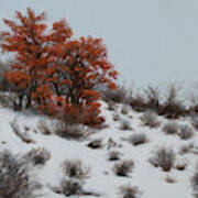 Lone Tree With Snow Poster