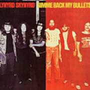 Lynyrd Skynyrd Music Poster