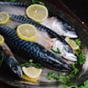 Mackerels On Silver Plate With Lemon Poster