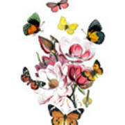 Magnolia With Butterflies Poster