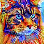 Maine Coon Cat Watching Something - Colorful Digital Art Poster