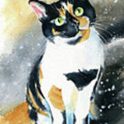 Marbles Calico Cat Painting Poster