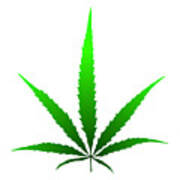 Marijuana Leaf Poster