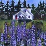 Matinicus House With Lupine Poster
