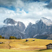 Meadow Field And The Dolomiti Rocky Peaks Alpe Di Siusi Seiser Alm Italy Poster