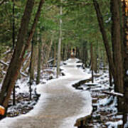 Meandering Winter Boardwalk Poster